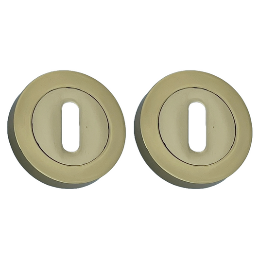 Escutcheon Polished Brass Pair Keyhole Cover Mortice Door Lock Cover