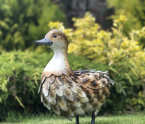 Metal Brown Duck